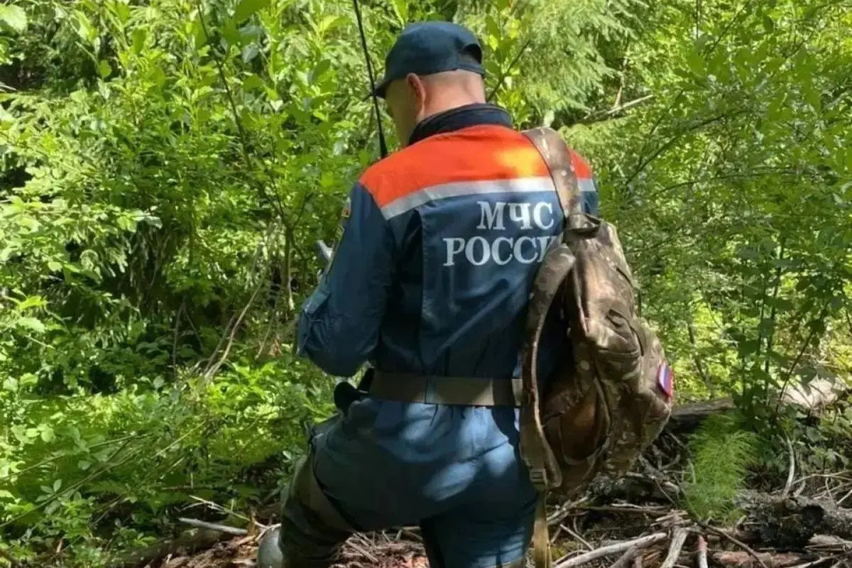 В Ленобласти спасатели 15 раз искали «потеряшек» и вывели из леса 18 человек