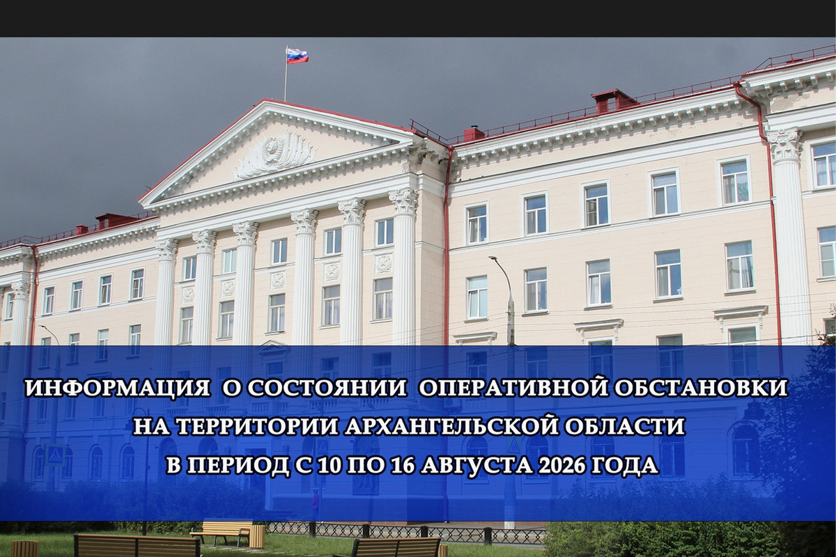УМВД: за неделю в Поморье зарегистрировано 112 преступлений и 205 ДТП