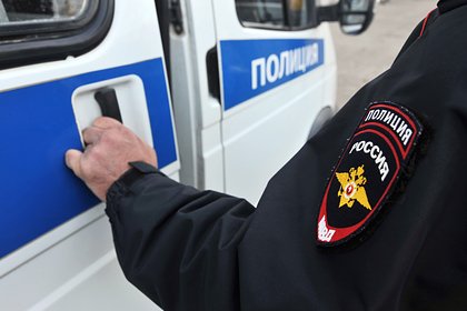 Появились подробности нападения российской школьницы на двух сестер