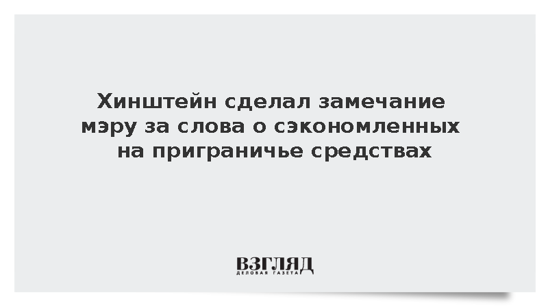 Хинштейн сделал замечание мэру за слова о сэкономленных на приграничье средствах