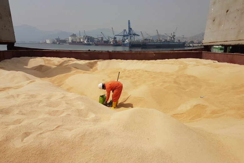 Политолог раскрыл, кому принадлежит вывозимое с Украины зерно