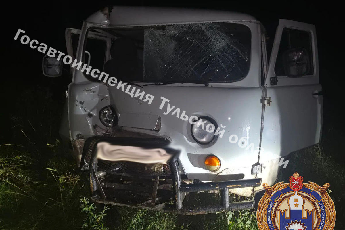 Водитель «Буханки» попал в тульскую больницу, влетев в препятствие в темноте