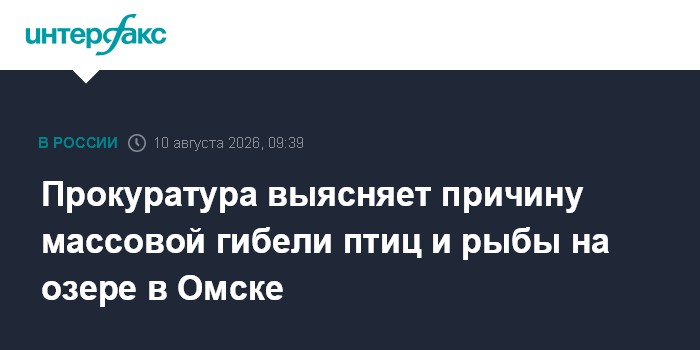 Прокуратура выясняет причину массовой гибели птиц и рыбы на озере в Омске