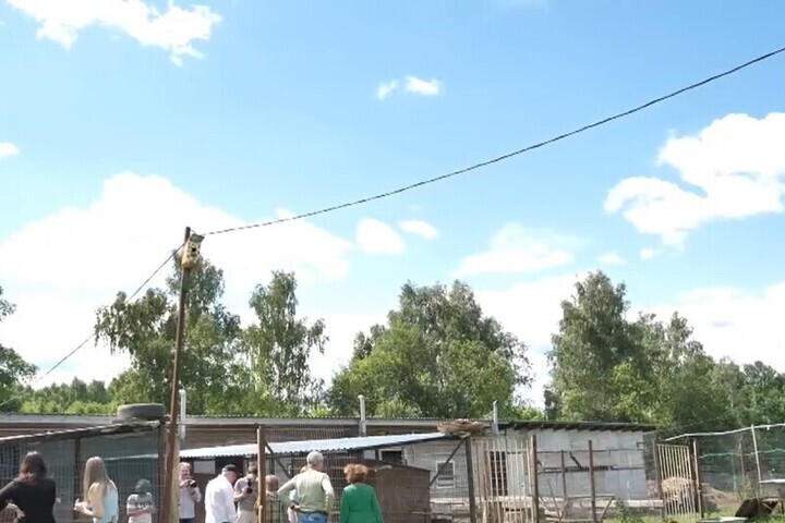 Как в Сергиево-Посадском округе снимают «Село Степанчиково»