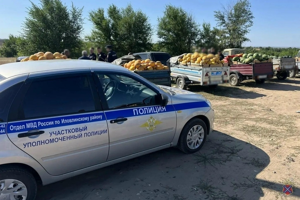 В Волгоградской области полиция проверяет объекты придорожной торговли