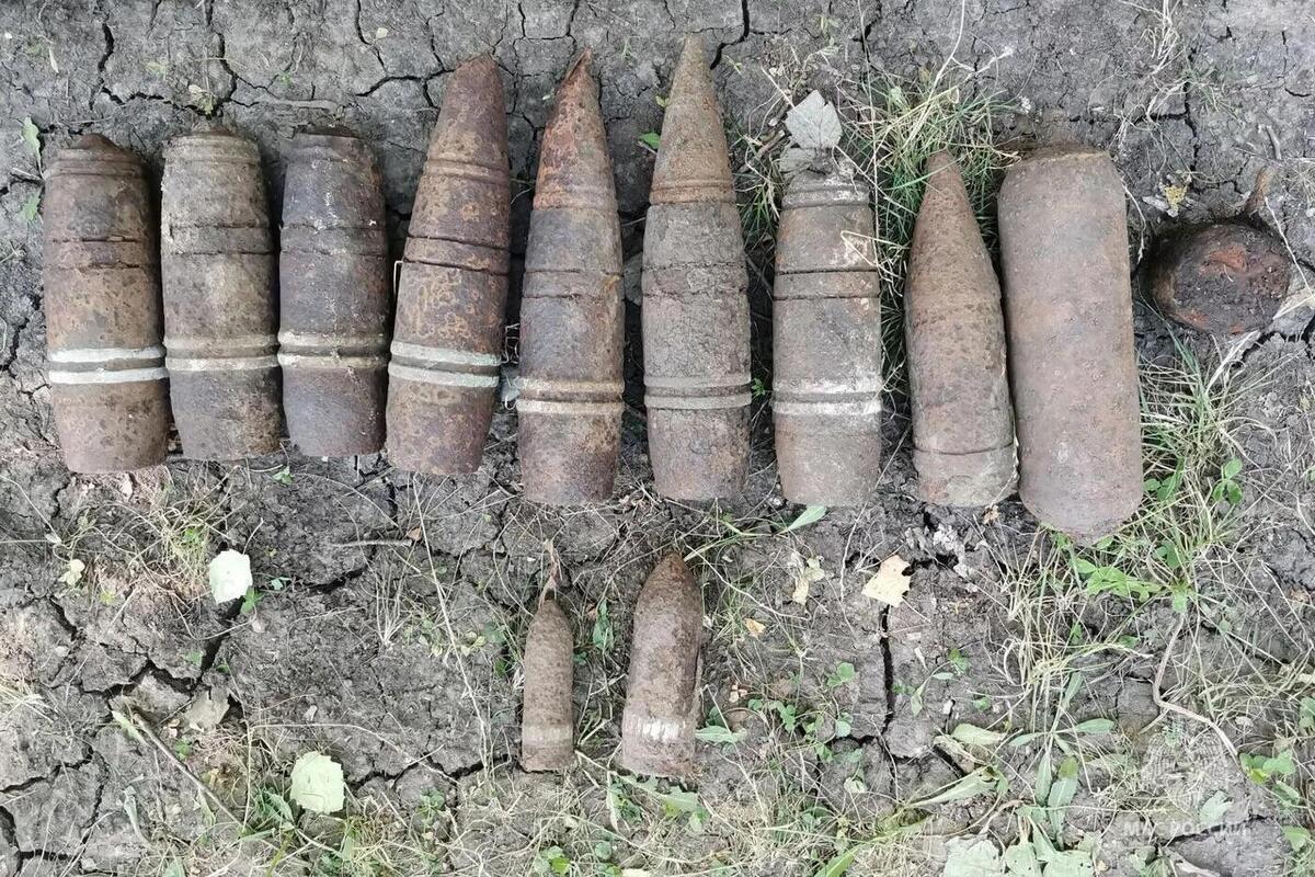 В яковлевском хуторе обнаружили 12 боеприпасов