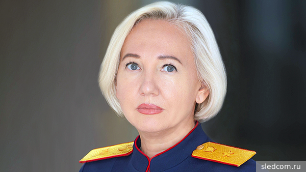 После атак ВСУ в Московской и в Запорожской областях завели дела о терактах