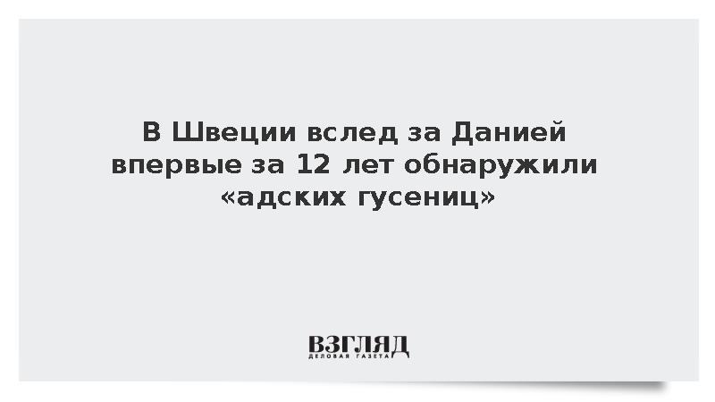 В Швеции впервые за 12 лет обнаружили ядовитого походного шелкопряда