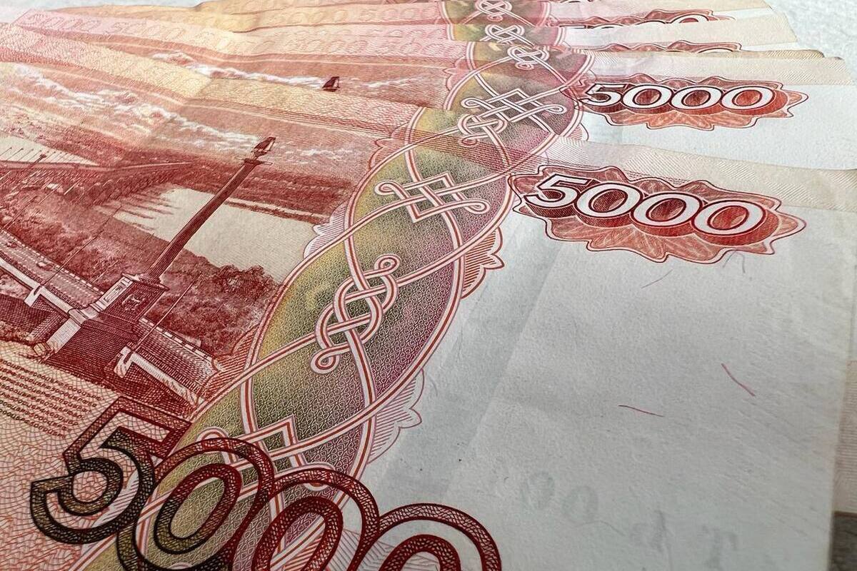 В Ставрополе полицейские раскрыли схему хищения грантовых средств на фермерское хозяйство