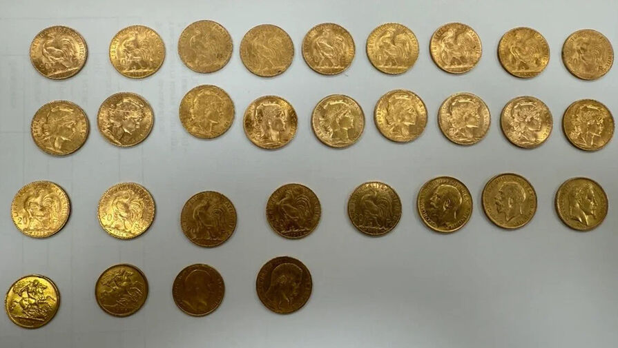 Иностранца поймали в Домодедово со старинными монетами на 1,7 млн рублей