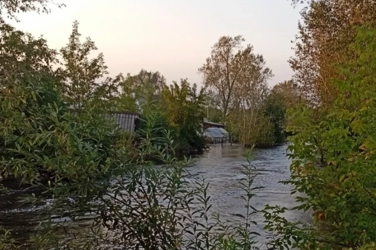 В Пермском крае наградят девочку, спасшую бабушку во время паводка