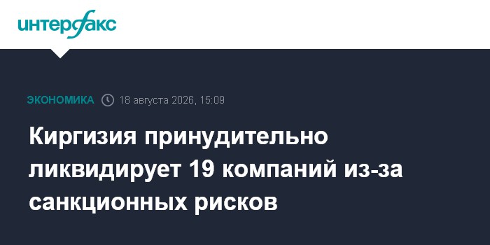Киргизия принудительно ликвидирует 19 компаний из-за санкционных рисков
