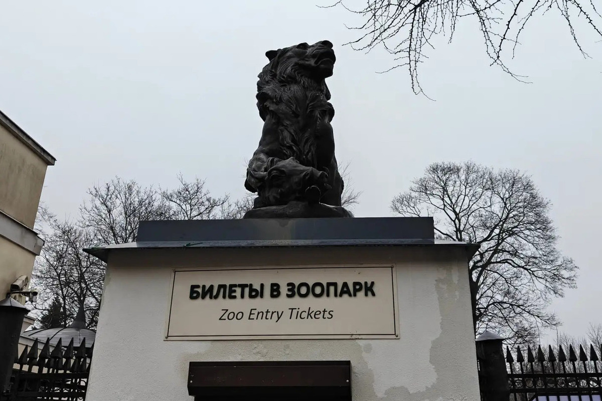 В зоопарке Калининграда лемуры обзавелись новой подругой