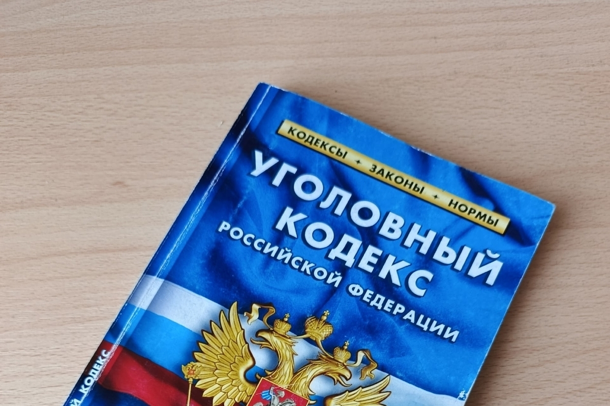 Праздничный дебош в Муроме обернулся колонией для 39-летней горожанки