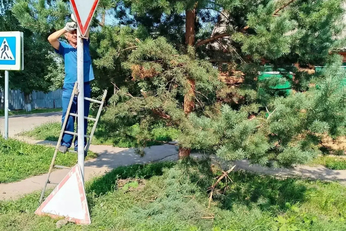 В Тамбове к 1 сентября обновляют дорожные знаки у школ и детсадов