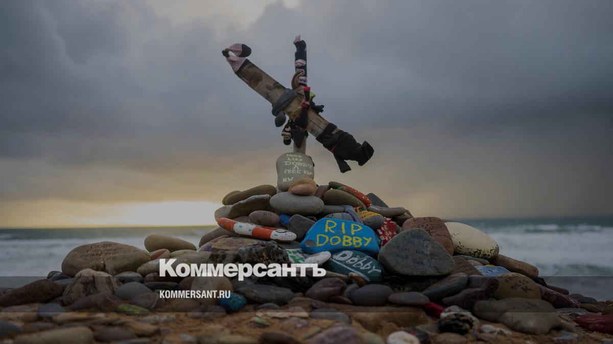 В Британии ради «могилы Добби» перенесли прокладку высоковольтного кабеля