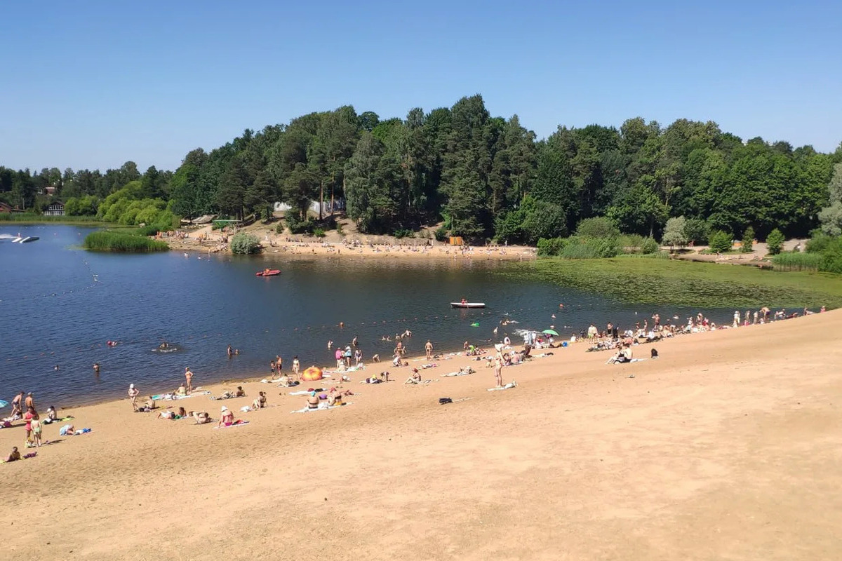 Петербуржцам рассказали, как выбрать воду для купания на фоне запрета на 22 пляжах