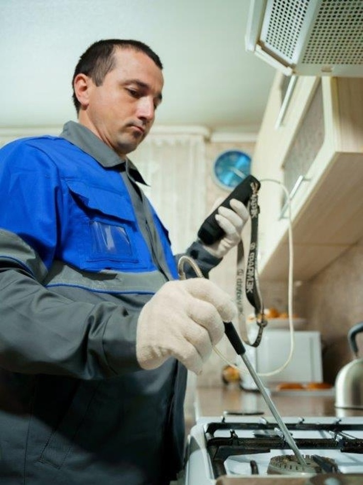В Псковской области 40 абонентов отключили от газа за отказ от техобслуживания