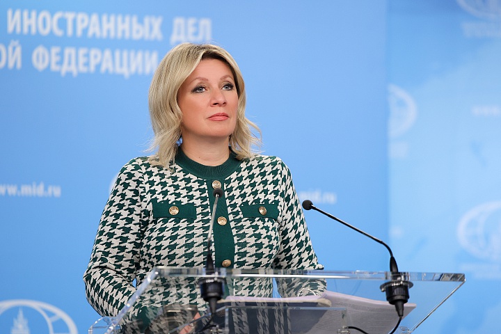МИД России не согласился с позицией журналистов, объявленных Баку в розыск