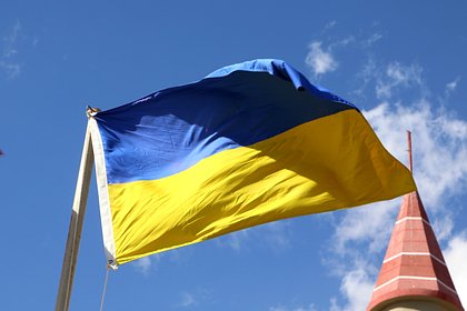 Экс-министр обороны Украины призвал к проведению выборов в стране