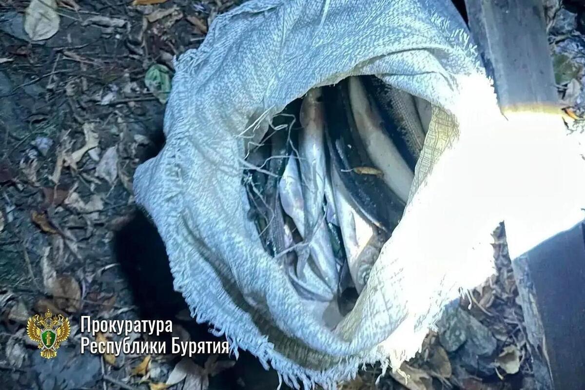 В Бурятии местного жителя осудили за незаконный вылов омуля
