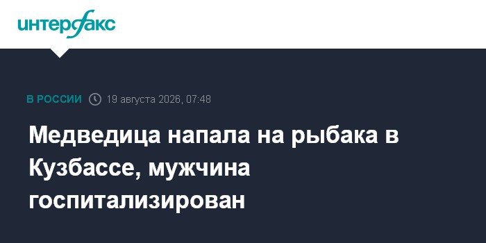 Медведица напала на рыбака в Кузбассе, мужчина госпитализирован