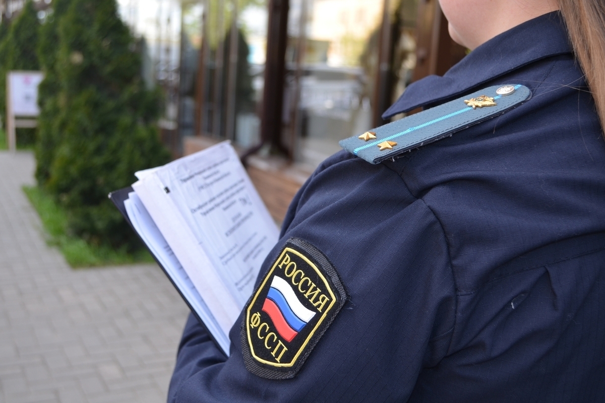 В Ивановской области судебные приставы заставили компанию вернуть лес