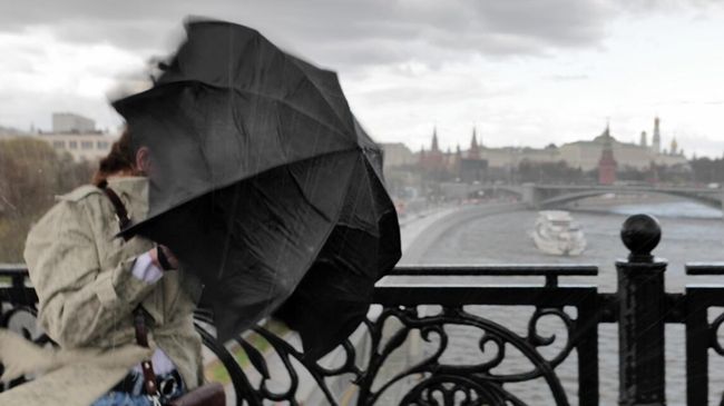 В Москве объявили желтый уровень погодной опасности из-за сильного ветра