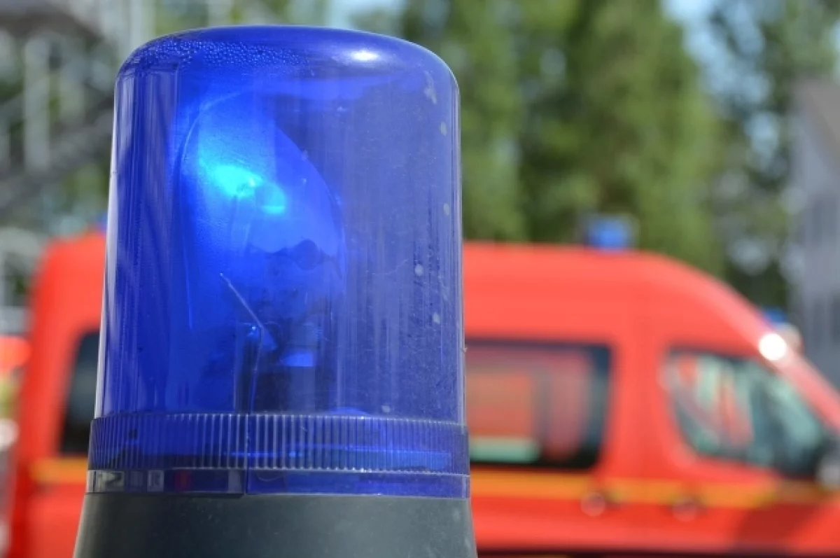 В Курской области беспилотник ВСУ попал в дерево возле детсада