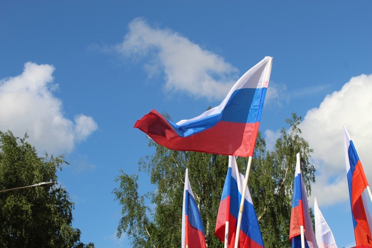 Программу празднования Дня флага анонсировали в Череповце (0+)