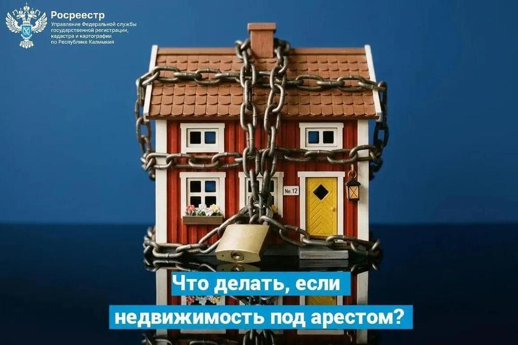 Росреестр Калмыкии объяснил, что делать, если дом или участок попали под арест