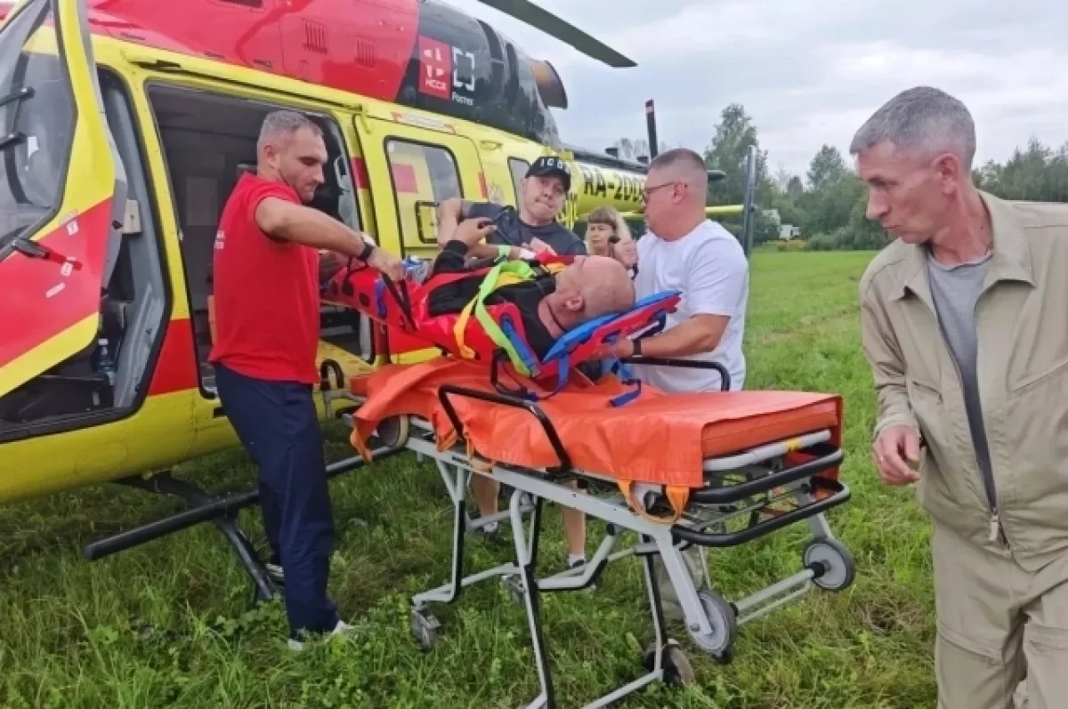 В Кузбассе мужчина убежал от медведя, ударив его в нос