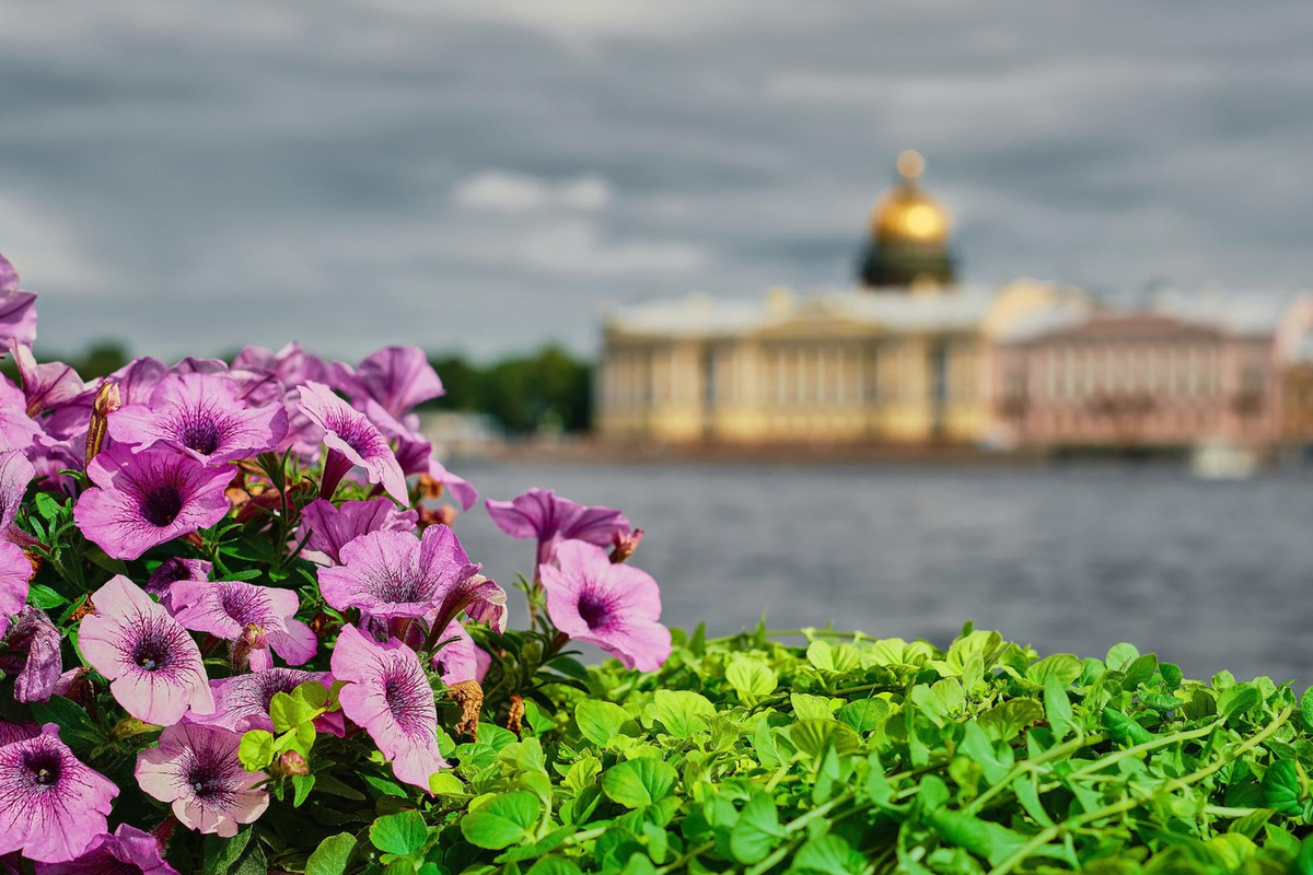 «Мрачно, разруха»: французская пара впервые приехала в Россию и раскрыла правду: они увидели совсем другую Россию