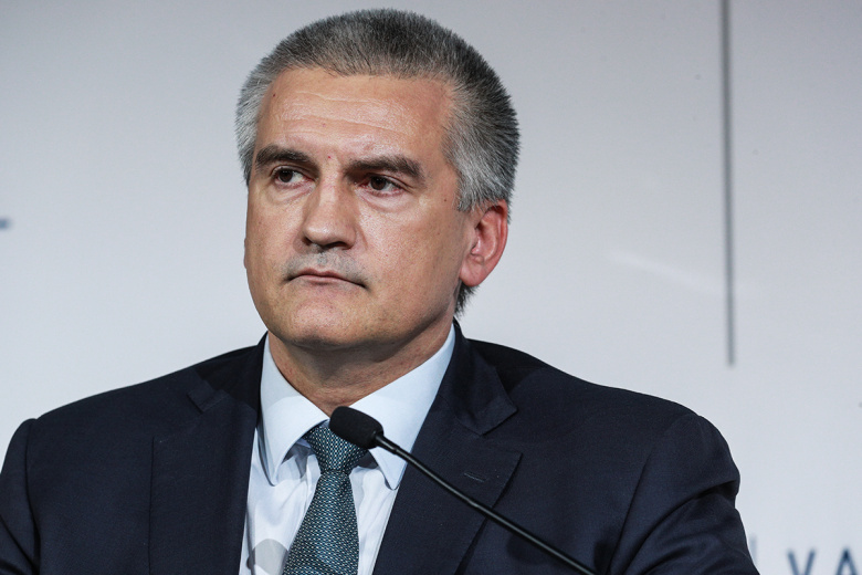 Силина призвала Аксенова и Развожаева поддержать фитнес-отрасль в Крыму