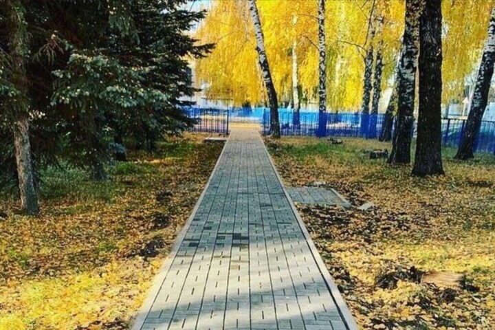 Участники форума «РОСТКИ» высадили в Казани деревья как символ дружбы