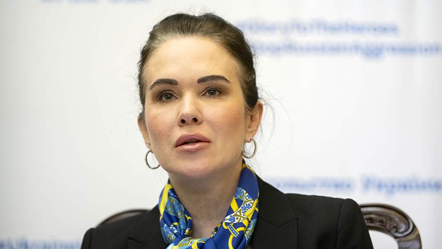 Владимир Зеленский уволил замглавы офиса президента Украины Ирину Мудрую