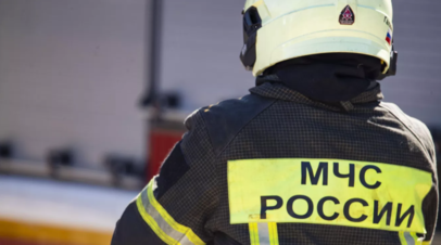 В Севастополе возобновился пожар в лесу у пляжа после падения БПЛА