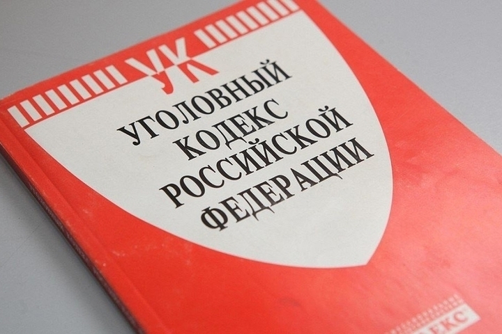 Подростка из Лебедяни обвиняют в организации ложных сообщений о терактах