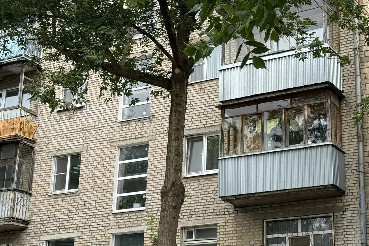 Беспалов: ветки у дома на Дзержинского в Туле убрали по обращению жительницы