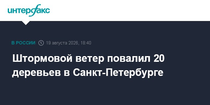 Штормовой ветер повалил 20 деревьев в Санкт-Петербурге