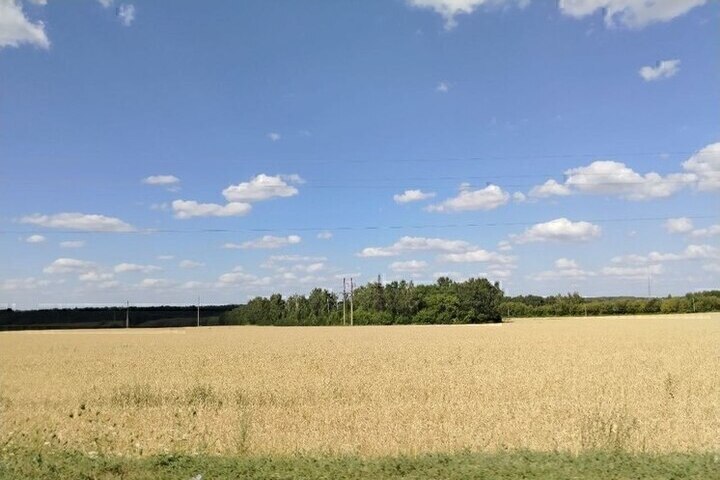 Белгородские ветераны СВО смогут открыть фермерское хозяйство