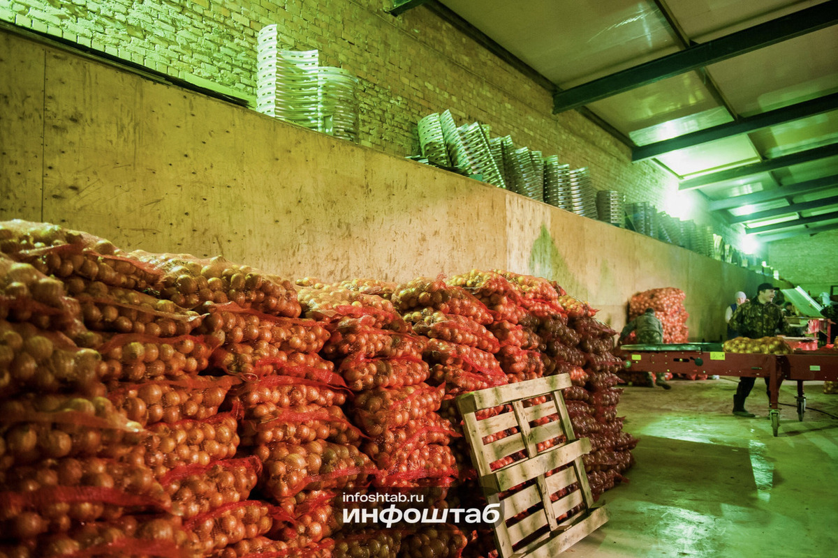 Ульяновские аграрии нарастили продажи зерна, масла и картофеля