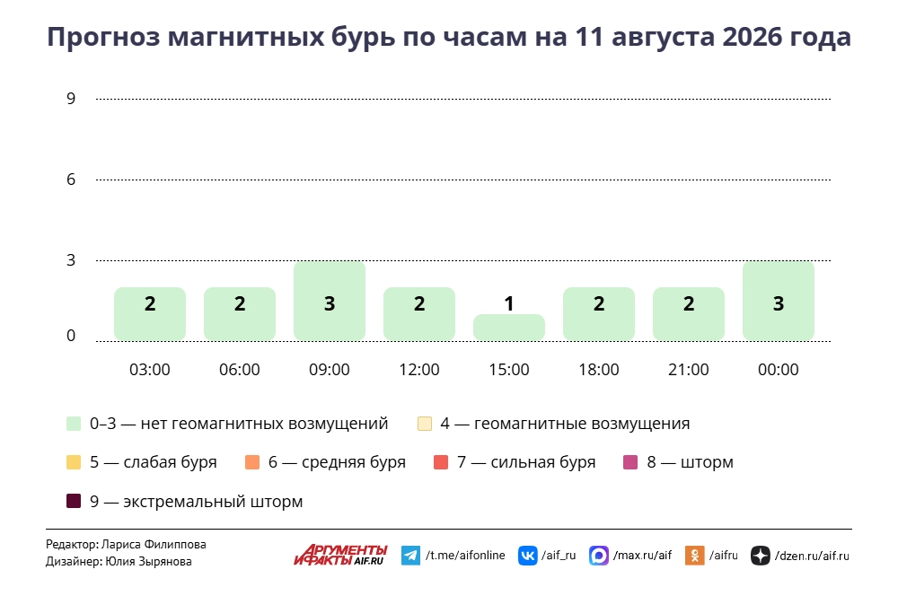 Прогноз магнитных бурь по часам на 11 августа 2026 года. Инфографика