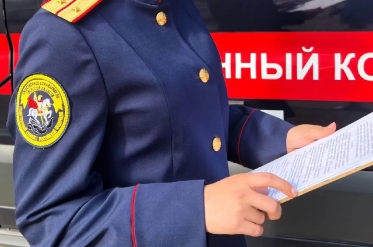 Мизулина обратилась в СК после видео с изнасилованием школьницы в Казани