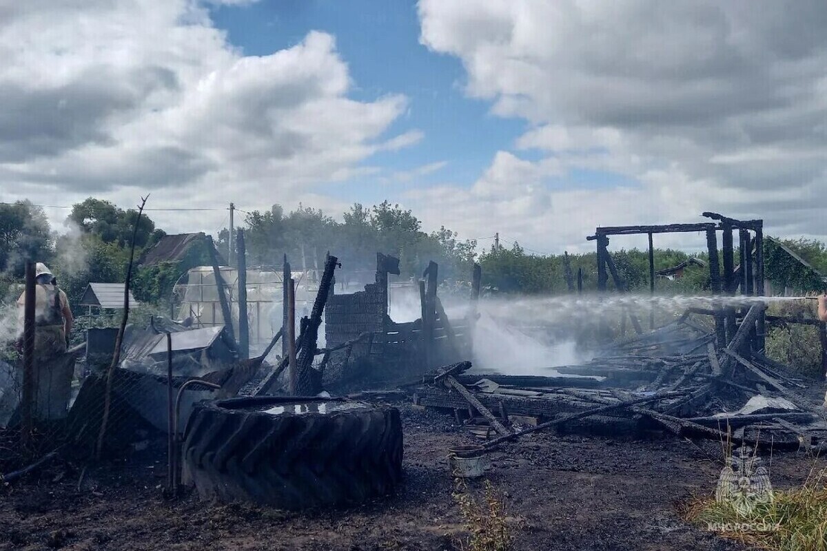 В Рыбновском районе сгорели дача и хозпостройка