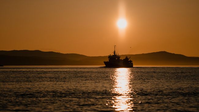 Два судна, на которых умерли трое российских моряков, стояли в одном порту