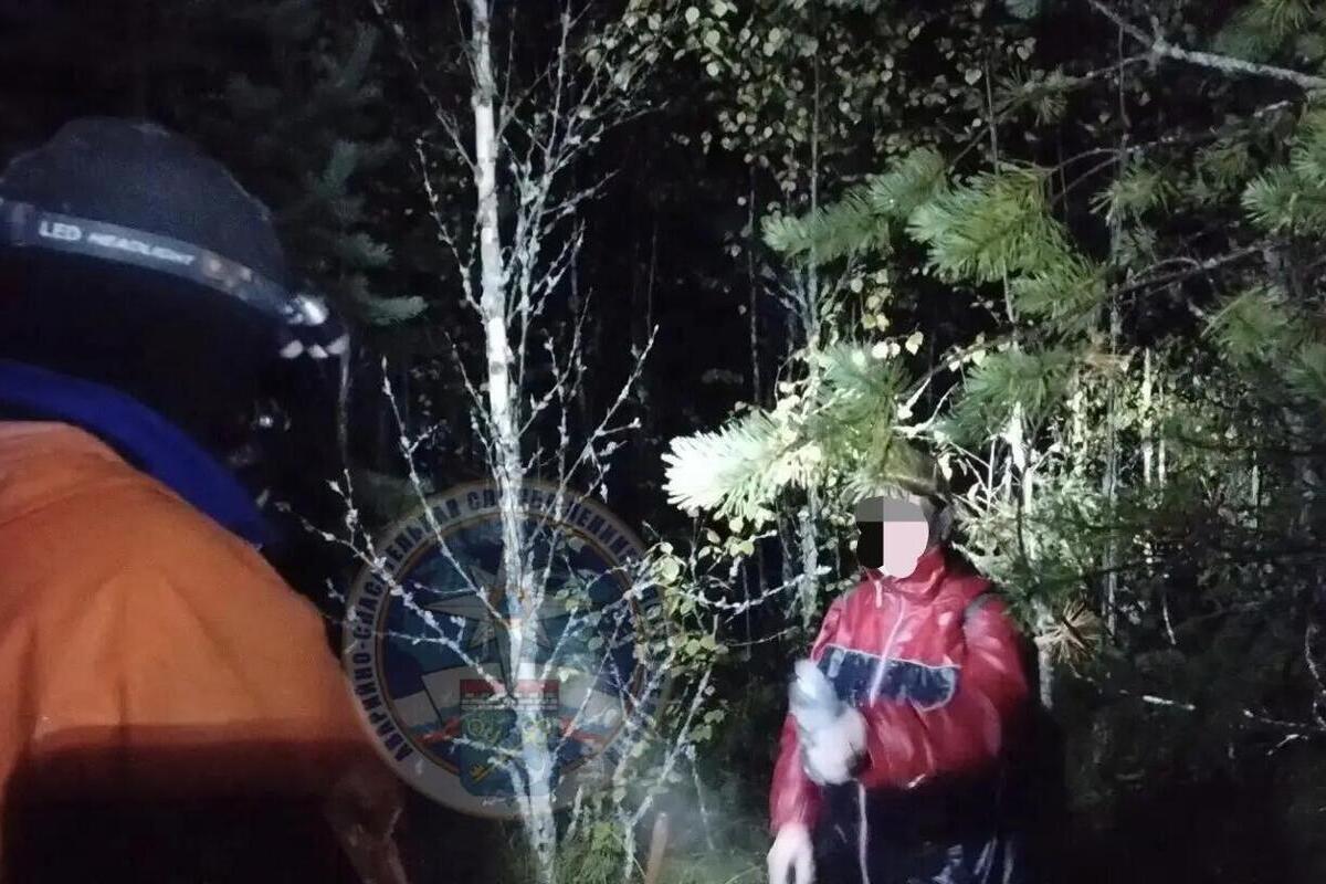 В Киришском районе спасатели и добровольцы искали заблудившуюся грибницу