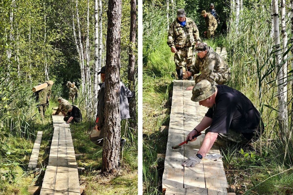 Тропу «Кладовая солнца» отремонтировали в Орловском полесье