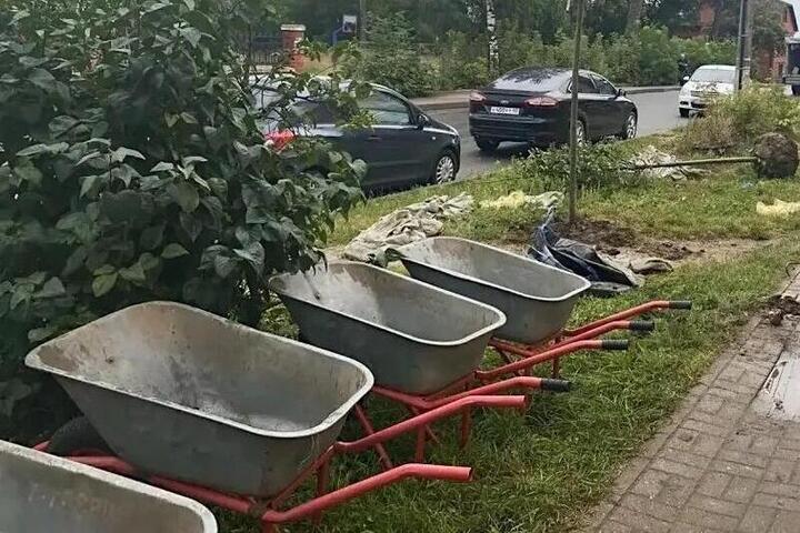 Калуга становится все зеленее