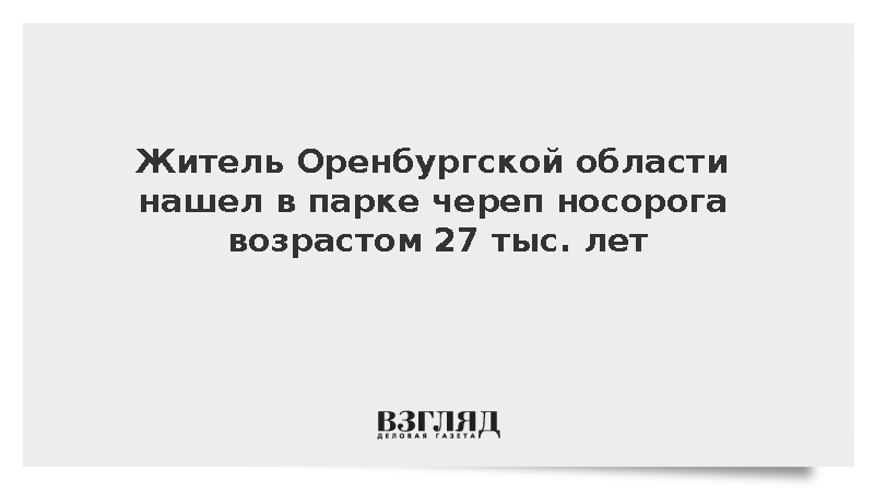 В Оренбургской области нашли череп древнего шерстистого носорога